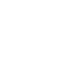 fiatt